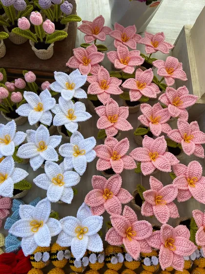 An arrangement of potted lilies in white and pink, ready for a custom order.