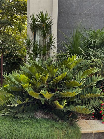 Sora Garden Design - Garden Maintenance Water-Wise & Dry Gardens photo 4