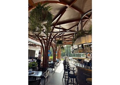The tree-like structural columns at the KGA lounge are adorned with hanging ferns. This biophilic design choice mimics a natural forest canopy, enhancing the feeling of being immersed in nature.