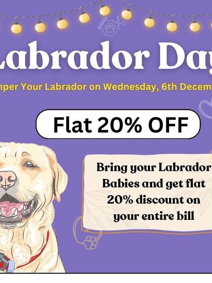 Celebrating Labrador Day! We offered a special discount for all the lovely Labrador babies who visited us.