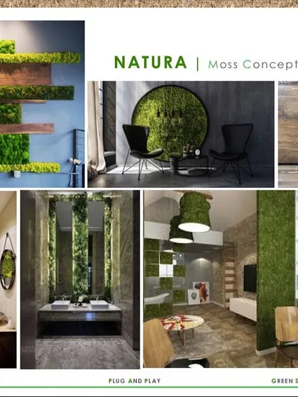 A glimpse into our moss wall concepts, showcasing the versatility of preserved moss. From geometric patterns and circular art pieces to full wall coverings and branded lettering, these solutions are plug-and-play and require zero maintenance.