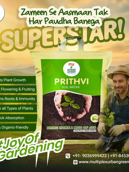 Our Prithvi Soil Media is the heart of a happy garden. This ready-to-use, organic-certified mix is scientifically formulated to boost plant growth, strengthen roots, and increase flowering, making it the perfect foundation for every plant to become a superstar.