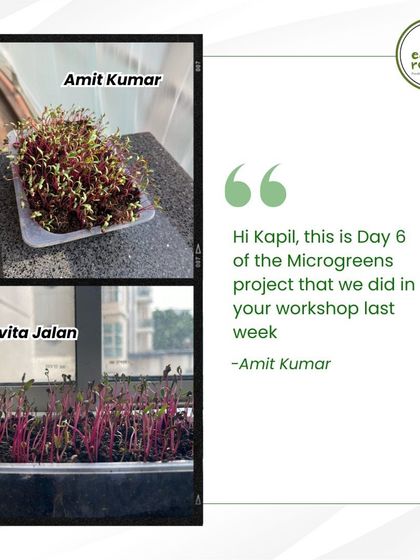 It's always wonderful to see the results from my workshops. Here, participants share their progress just six days after our microgreens session.