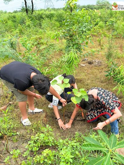 Three generations of a family work together to plant a sapling. Environmentalism is a value that can be passed down through generations.