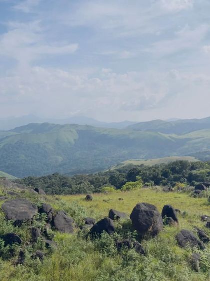 The rocky meadows of the Agumbe range.