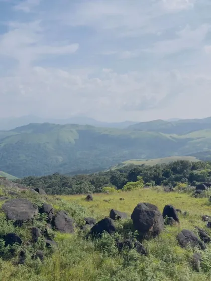 The rocky meadows of the Agumbe range.