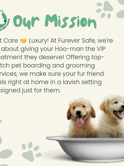 Furever Safe - Pet Boarding & Day Care Additional Guest Diaries photo 18