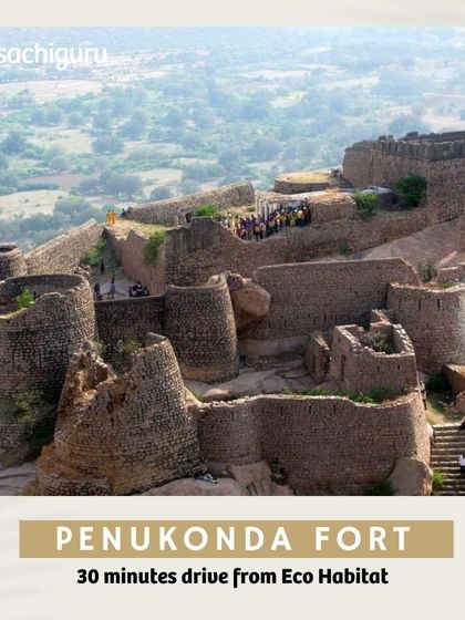 Penukonda Fort, just 30 minutes from Eco Habitat, offers a chance to walk through history with its old temples and ruins.