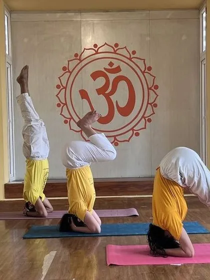 For students ready to deepen their practice, we offer guidance in advanced asanas like Sirsasana (Headstand). This image shows students at different stages of learning the pose, supported by our step-by-step method.