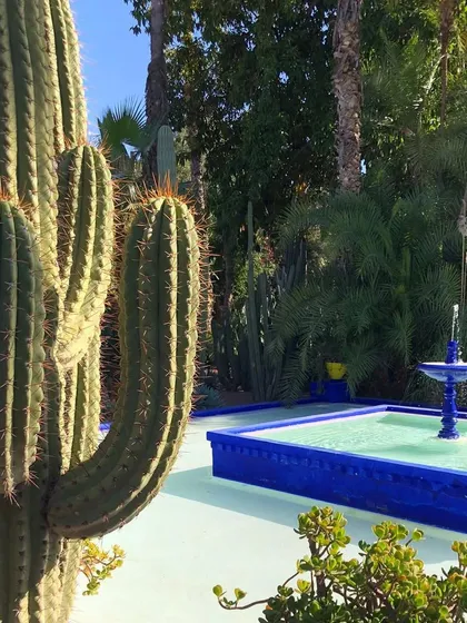The vibrant blue fountain and planters contrast beautifully with the desert cacti at Jardin Majorelle. Moroccan design draws inspiration from many cultures, blending them into a unique and versatile style that is rich in pattern, color, and texture.