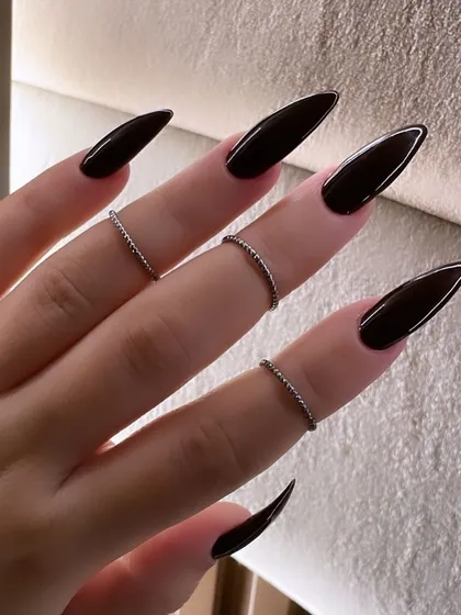 A sleek and dramatic look with these long, stiletto-shaped nails in a deep, almost-black polish. It's pure, dark elegance.