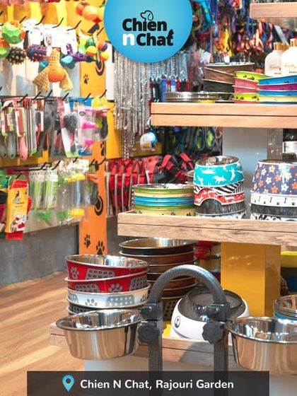 I believe mealtime should be fun. That's why I stock a wide variety of pet bowls in different designs and sizes, from basic stainless steel to decorated ones. You can see them all at my Rajouri Garden store.