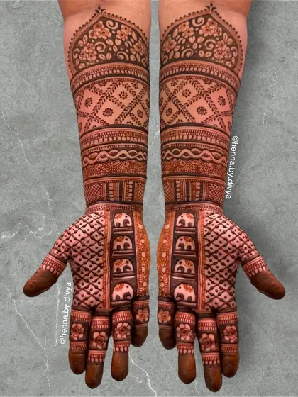 A classic full-coverage design featuring rows of elephants and intricate geometric jaal patterns. The symmetrical layout creates a balanced and traditionally beautiful bridal look.
