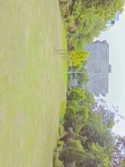 A wide view of a freshly maintained lawn in a park setting. Our lawn care services ensure large green spaces remain beautiful and usable for everyone.