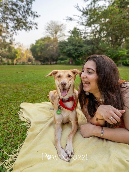 Pawparazzi By Prathima - Pet Milestone Photography Adopted & Rescued Stories photo 6