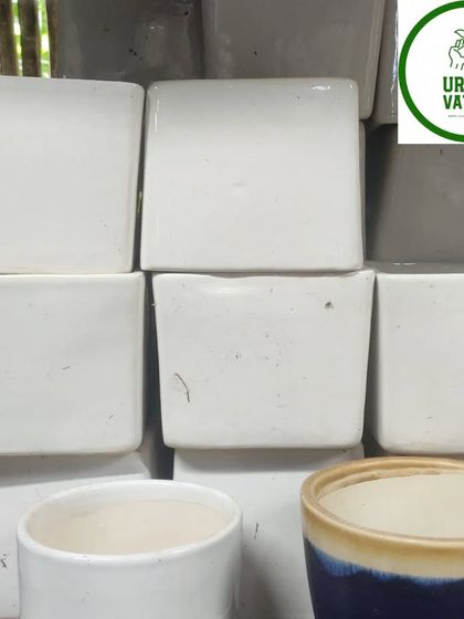 A collection of simple white ceramic pots.