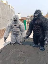 Mascot Costumes