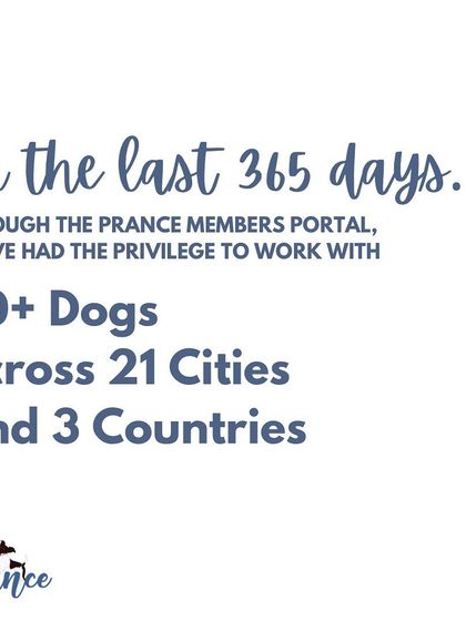 I'm so grateful that in the last year, I've had the privilege to work with over 90 dogs across 21 cities and 3 countries through my online members portal!