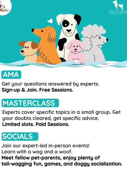 I offer different types of online sessions to fit your needs. Free AMAs are great for getting quick questions answered, while paid Masterclasses provide a deep dive into specific topics with personalized advice for a small group.