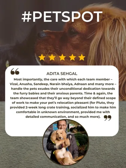 Adita Sehgal's review praises the unconditional dedication my team shows. Going beyond our defined scope of work to make a pet's relocation pleasant is just what we do.
