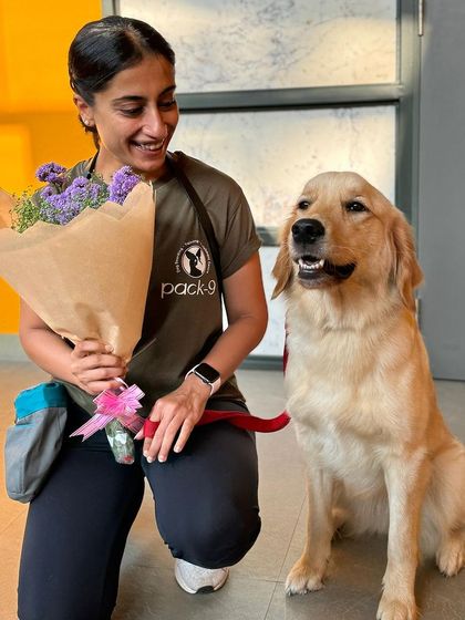 A happy Golden Retriever posing with a bouquet of flowers.