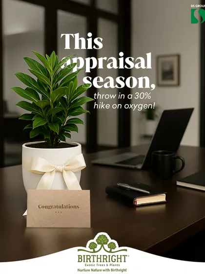 This appraisal season, I help companies give a raise that truly matters. A gift of a plant is a gift of fresh air and a calmer workspace, showing your team you care about their well being as much as their work.
