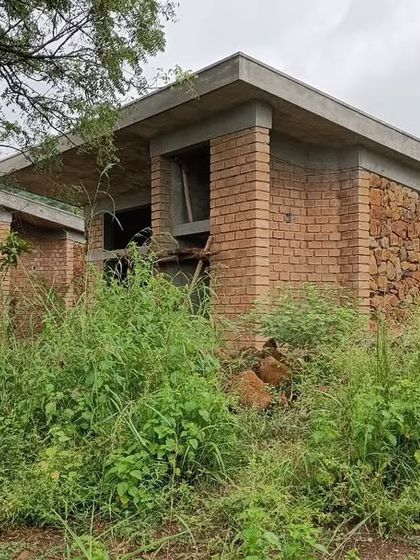 The changing landscape around the Gamaya project, where the building begins to merge with the wild grasses and trees. Our goal is for our architecture to settle into and enhance its natural surroundings over time.