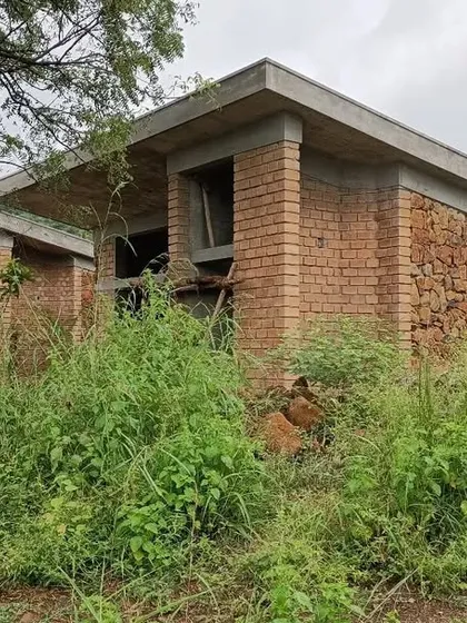 The changing landscape around the Gamaya project, where the building begins to merge with the wild grasses and trees. Our goal is for our architecture to settle into and enhance its natural surroundings over time.