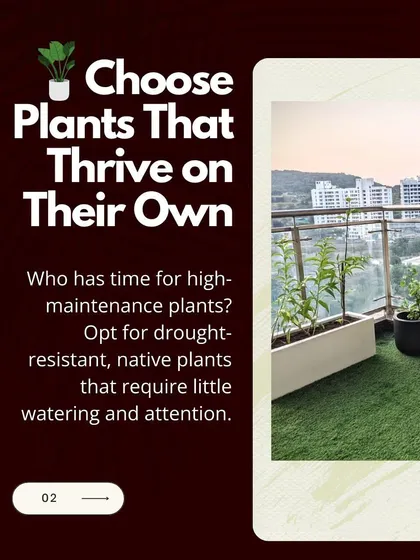 To ensure your garden is a source of joy, not stress, I recommend choosing low-maintenance plants. Opting for drought-resistant or native species means less time watering and more time simply enjoying your green space.