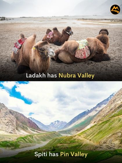 Comparing the unique valleys of the Himalayas. Ladakh has the famous Nubra Valley with its camels, while Spiti has the greener, more remote Pin Valley.