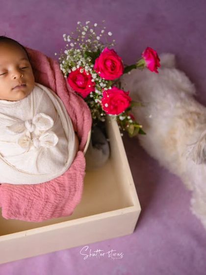 The family dog lies down protectively next to the sleeping newborn, a truly heartwarming scene.