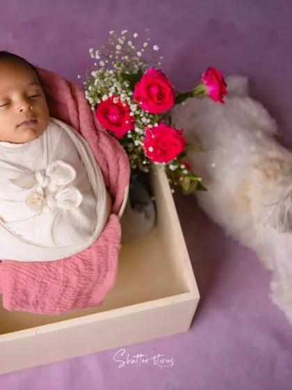 The family dog lies down protectively next to the sleeping newborn, a truly heartwarming scene.