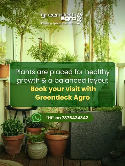Plants are placed for healthy growth and a balanced layout. This cozy balcony setup uses a variety of terracotta pots and a small Buddha statue to create a peaceful and well-organized green corner.