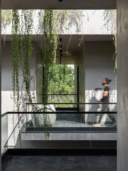 A corridor bridge on the upper level is flanked by hanging plants, enhancing the feeling of being immersed in nature throughout the home.