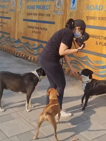 Me interacting with a group of friendly street dogs in Mumbai. These are the beautiful souls that inspire my charity work.