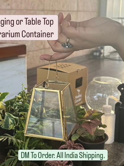Healing Garden - Terrarium & Miniature Garden Workshops Our Garden & Terrarium Styles photo 6