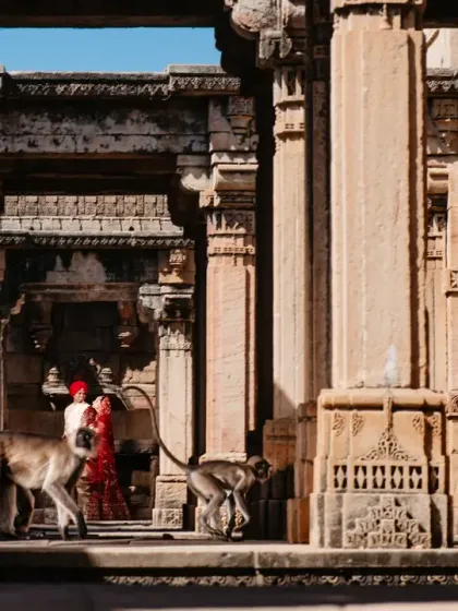 Sometimes, the most unexpected moments are the best. A couple of monkeys decided to join our royal shoot in the Ambapur ni Vav stepwell, adding a touch of spontaneous fun to this otherwise grand portrait.