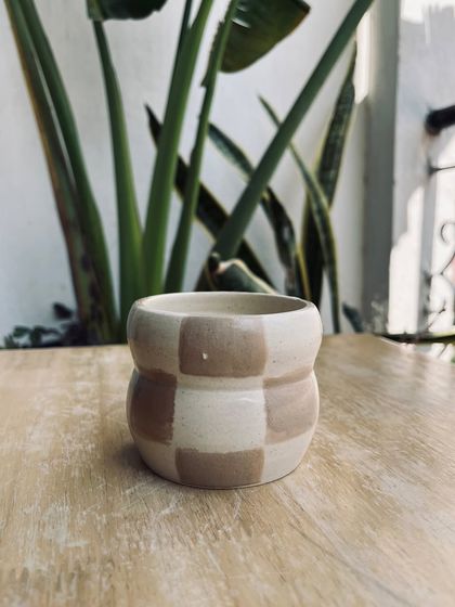 A checkered, wheel-thrown pot sitting next to a plant. We love seeing the beautiful, functional pieces our students create in our courses.