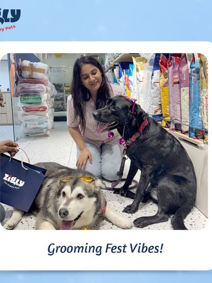 Zigly - Pet Supplies From Our Community: Happy Pets & Parents photo 23