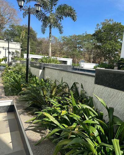 Terrace Garden Development