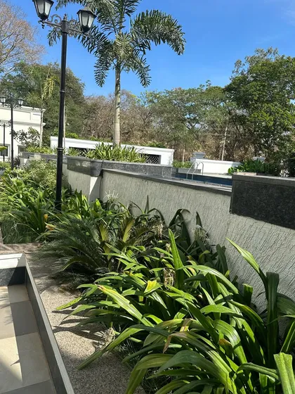 The poolside planting at the Sankalp Imperial apartment complex. My goal was to create a lush, green border that provides beauty and a sense of privacy for the residents.
