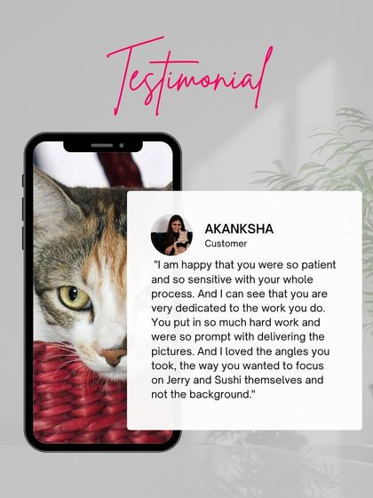 Akanksha's testimonial praising my patience and sensitivity during her cats' shoot, and my focus on capturing the pets themselves.
