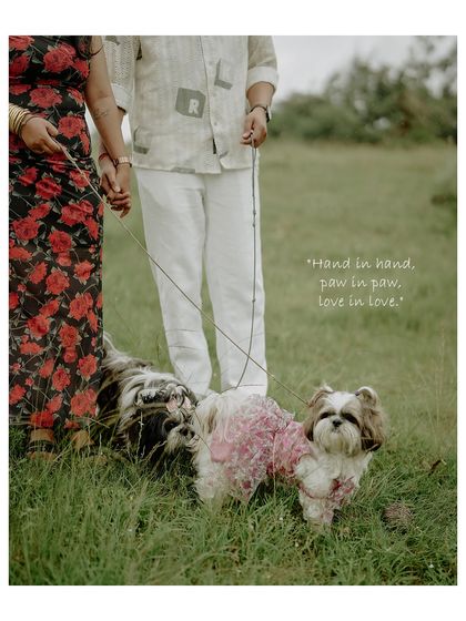 'Hand in hand, paw in paw, love in love.' A close-up focusing on the couple's hands and their adorable dogs, perfectly summarizing their little family.