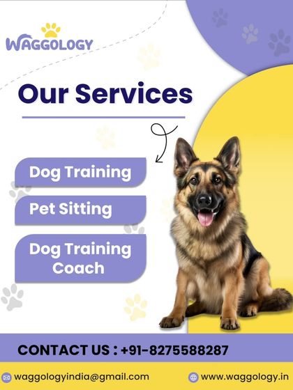 A simple graphic outlining our core services: Dog Training, Pet Sitting, and Dog Training Coach. The handsome German Shepherd is a great model!