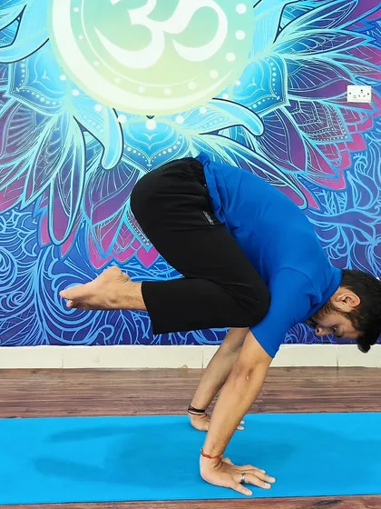 A perfect Bakasana (Crow Pose), the foundational arm balance that builds strength and confidence for more complex poses.