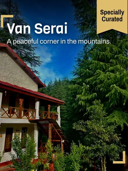 Van Serai, our eco-lodge in Jageshwar, is a peaceful corner nestled among tall deodar trees. It's a place where forest calm meets sacred silence, perfect for a monsoon getaway.