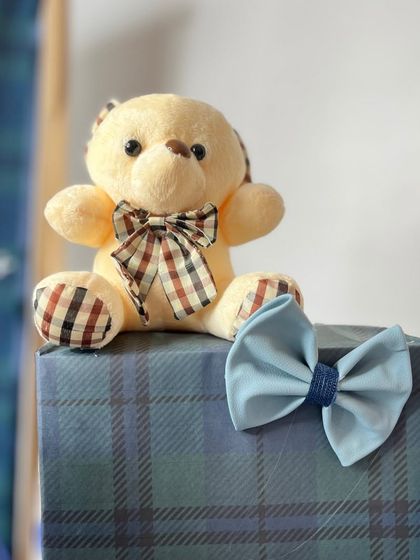 A close-up of a cute teddy bear with a plaid bow, part of the Kaif-Kaushal baby hamper.