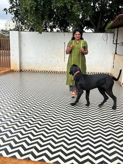 Star Pups - Pet Boarding & Daycare Additional Work & Moments photo 19