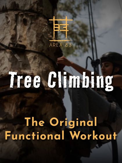 Tree climbing is the original functional workout. It's a full-body challenge that connects you with nature.