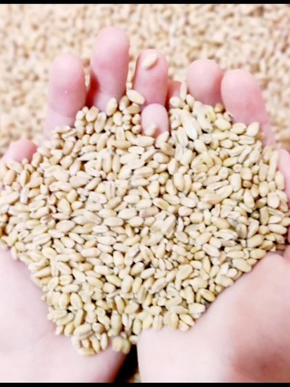 Neha Bhardwaj - Clinical Nutrition for Disease Management Healthy Eating in Real Life photo 17